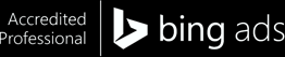 bing (1)