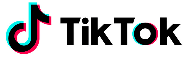 toktok ads